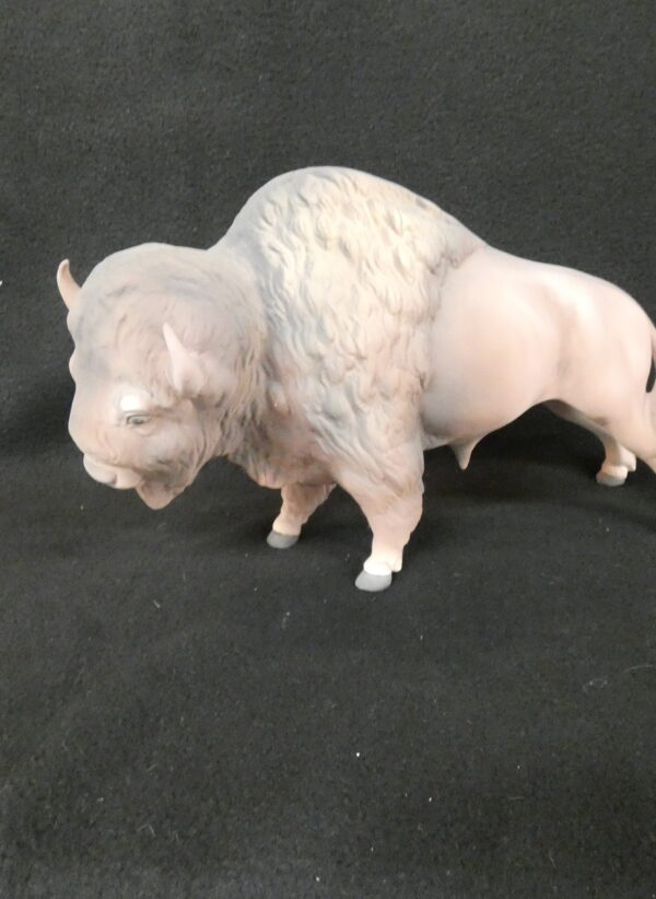 Buffalo