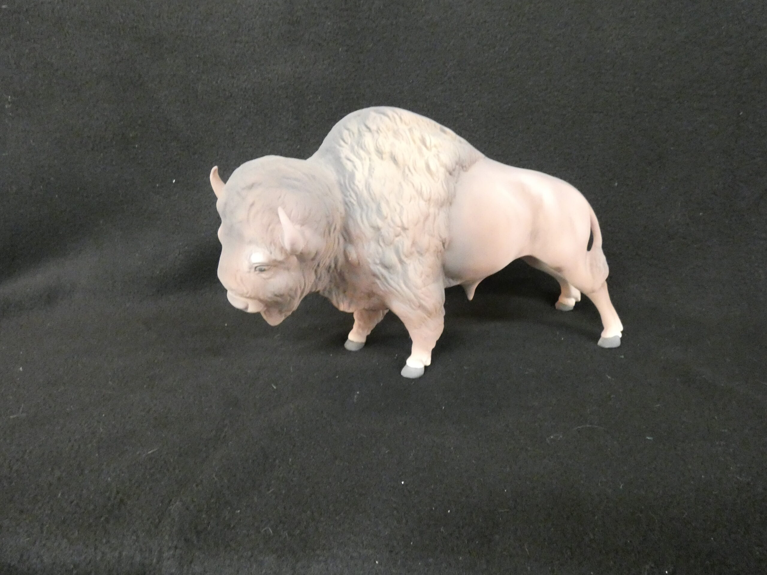 Buffalo