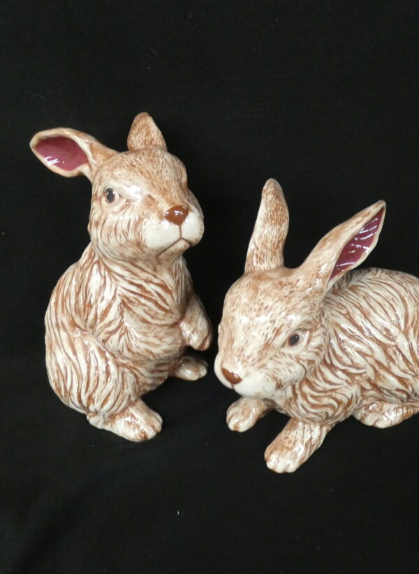 Pair Large Rabbits   any Color