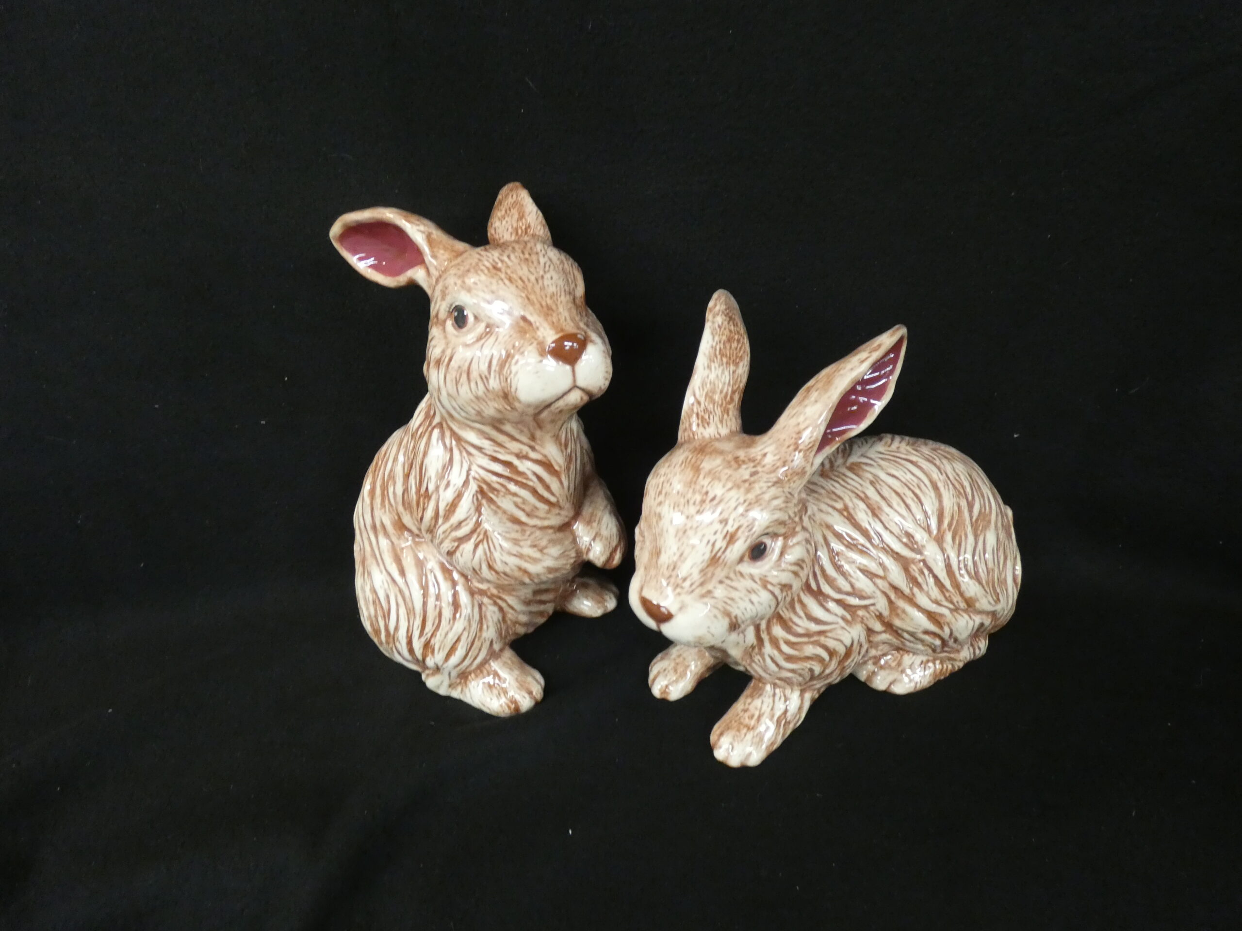 Pair Large Rabbits   any Color