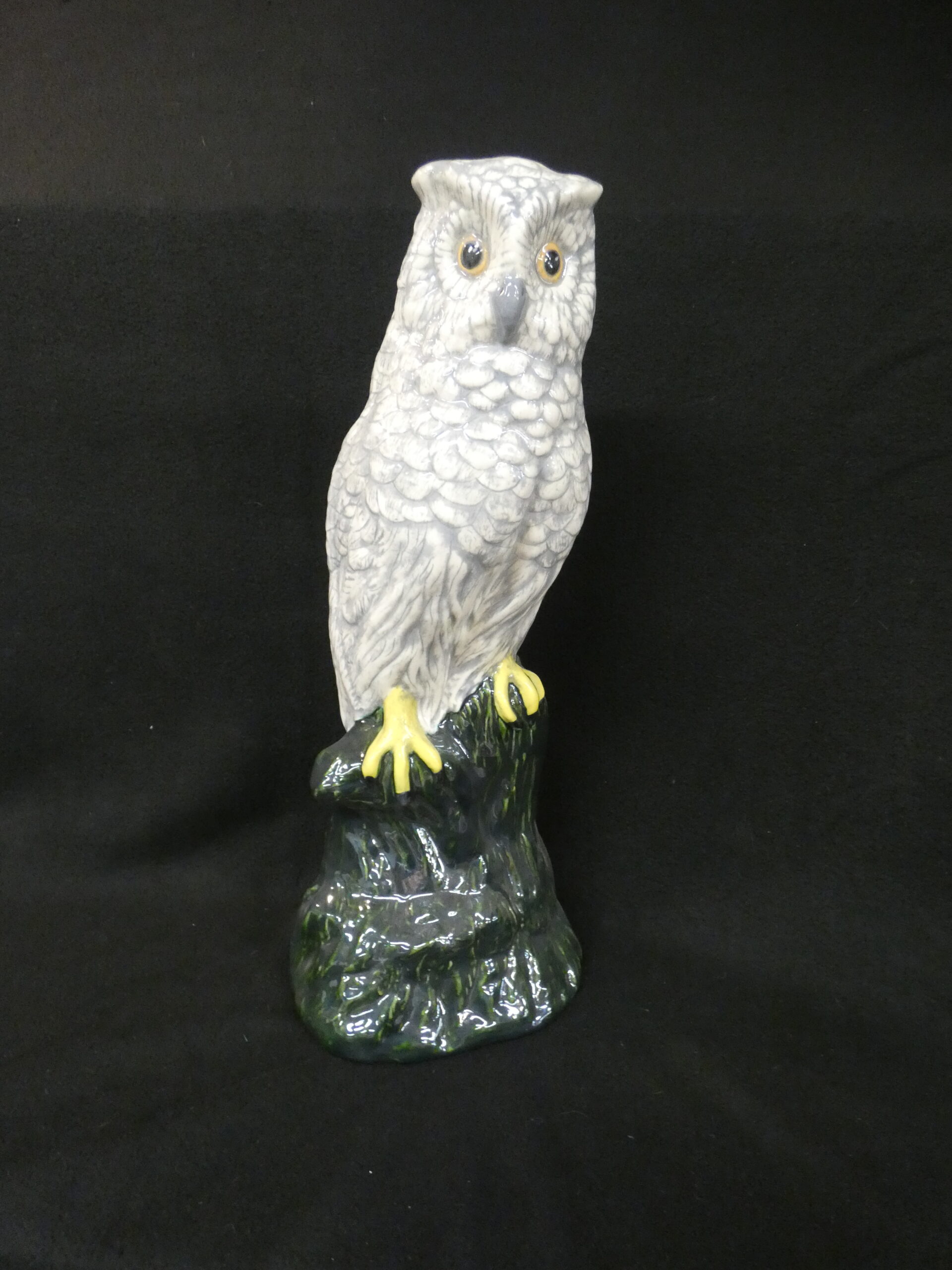 Tall Owl On Stump