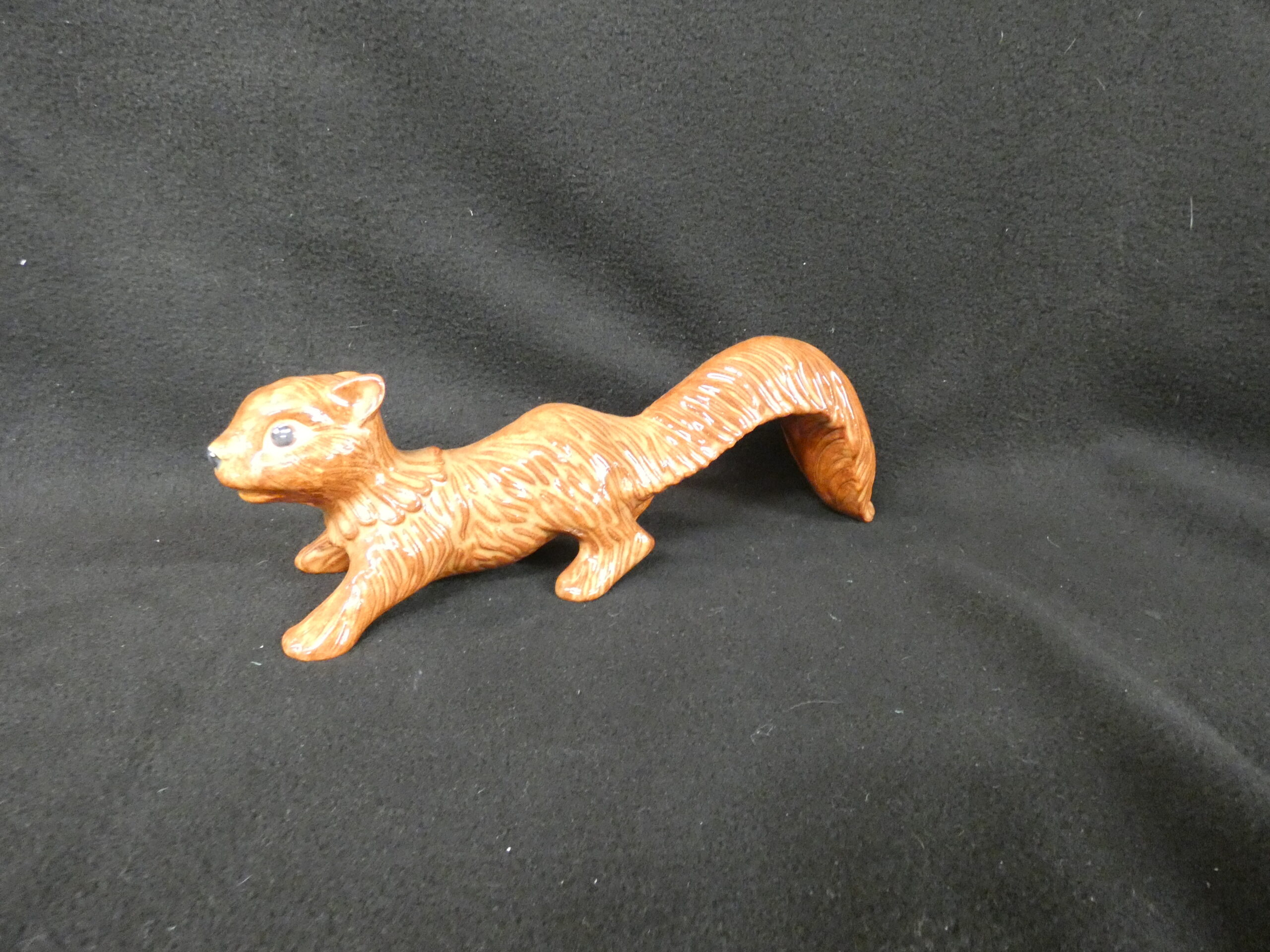 Squirrel - Running