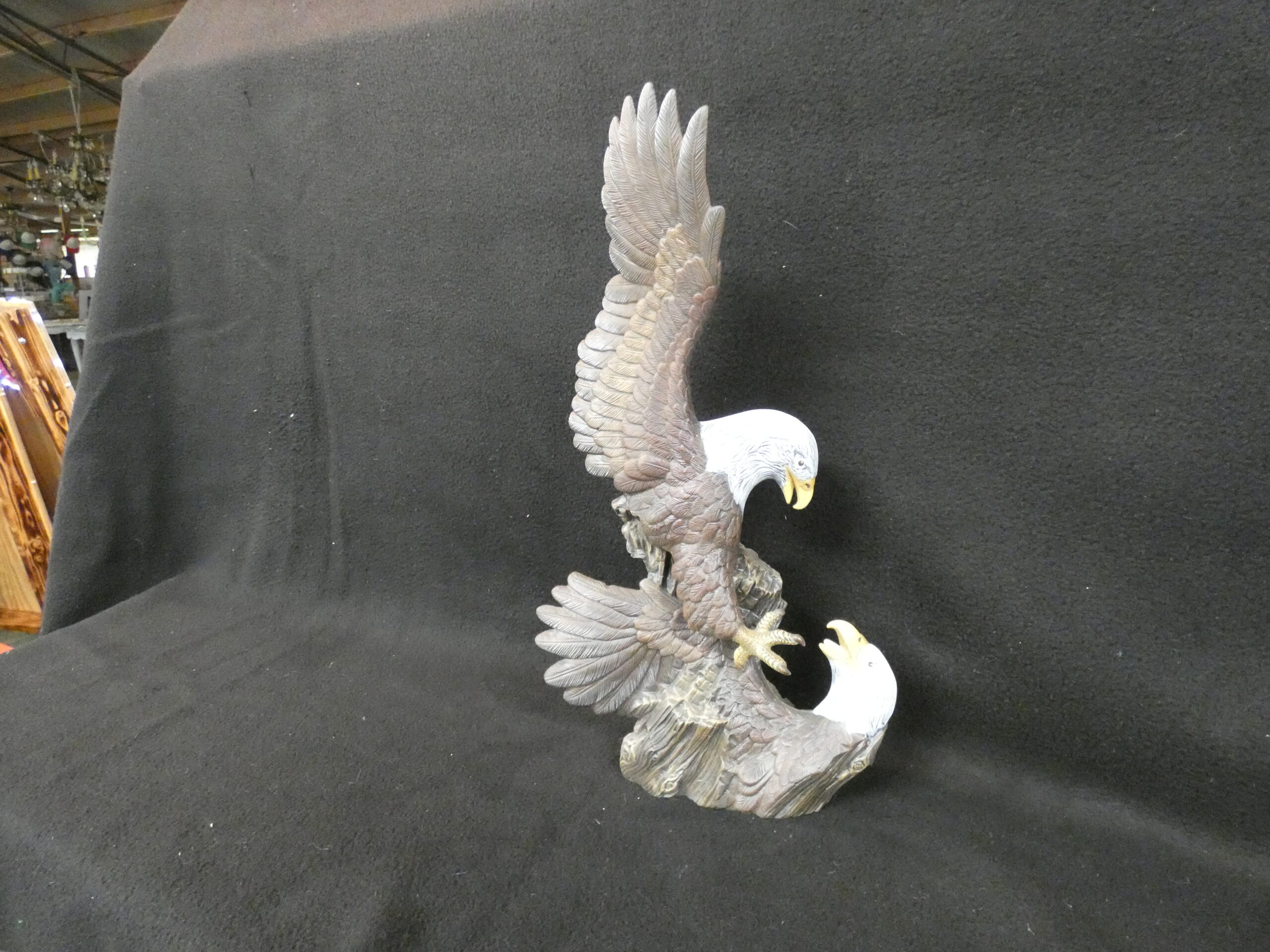 Eagle Fighting