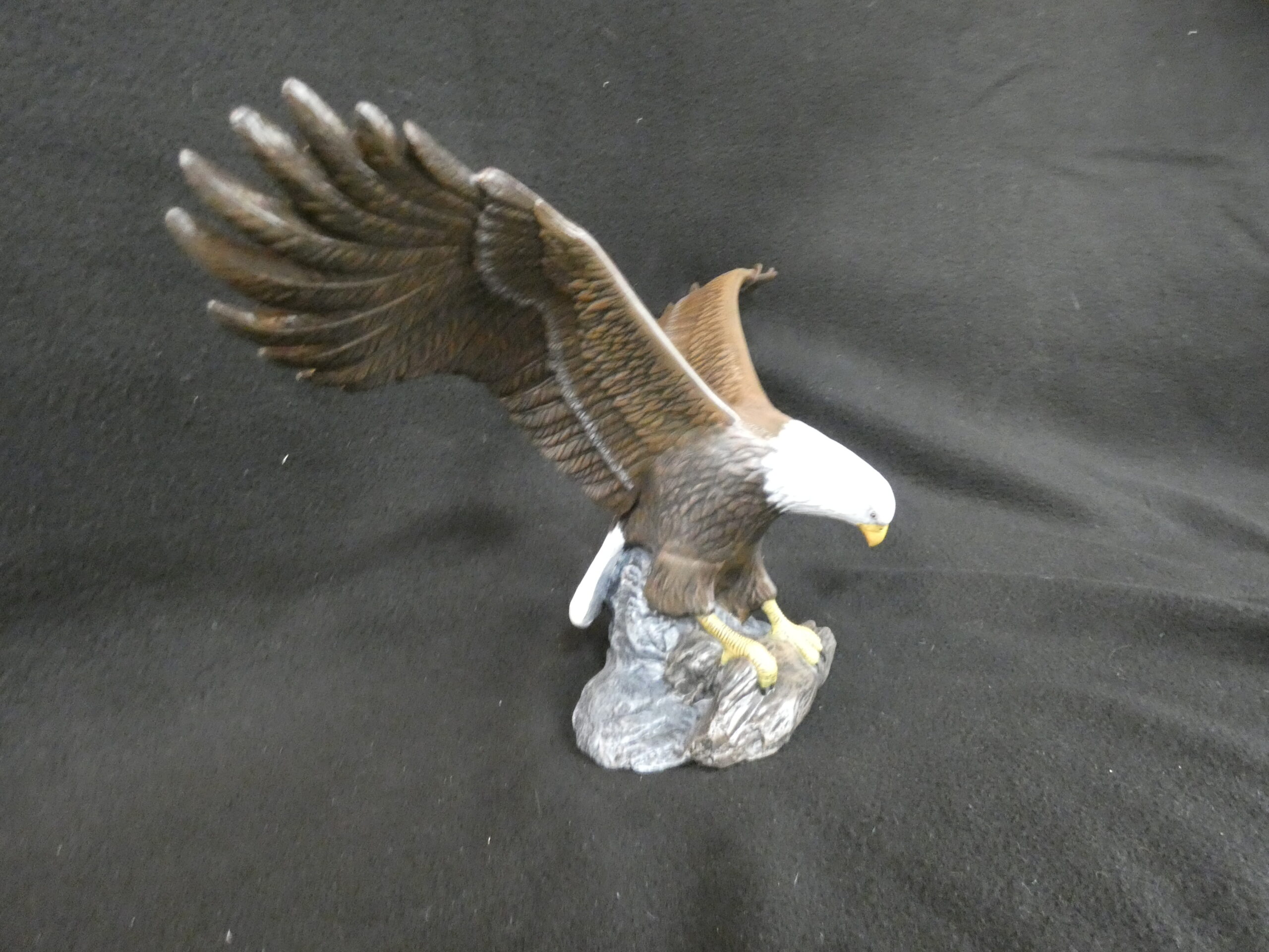 Eagle Wings Out